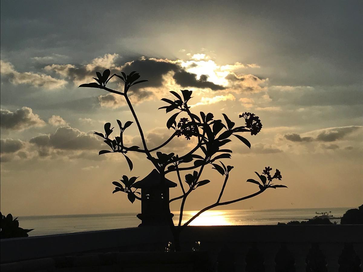 Sunset Lavinia
